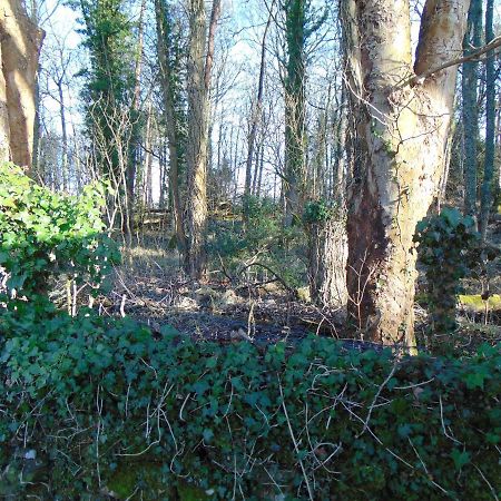 Dreamwood Cottage, Loch Lomond, Luxury Apartment. Glasgow Ngoại thất bức ảnh