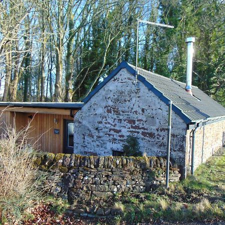 Dreamwood Cottage, Loch Lomond, Luxury Apartment. Glasgow Ngoại thất bức ảnh