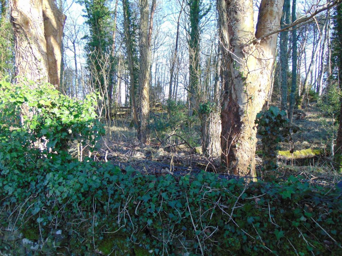 Dreamwood Cottage, Loch Lomond, Luxury Apartment. Glasgow Ngoại thất bức ảnh
