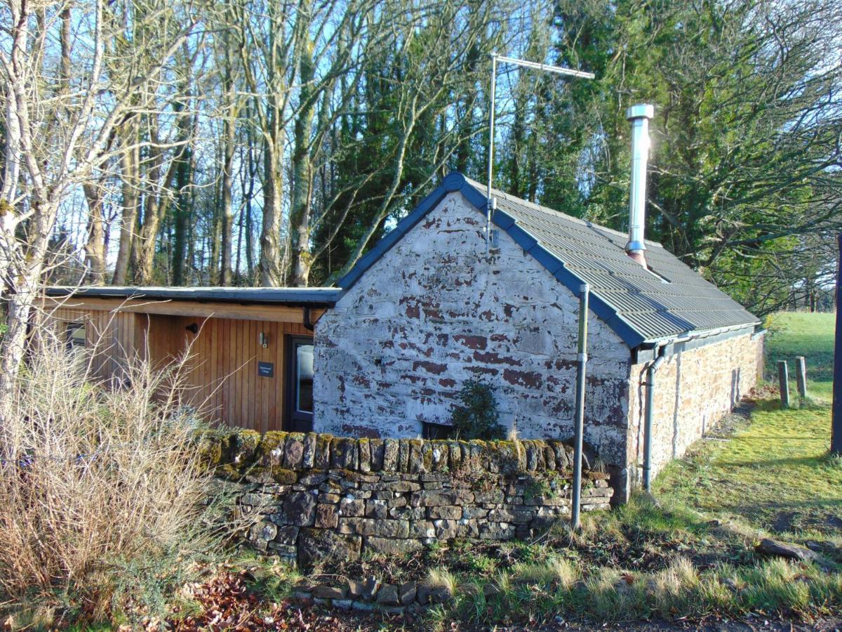 Dreamwood Cottage, Loch Lomond, Luxury Apartment. Glasgow Ngoại thất bức ảnh