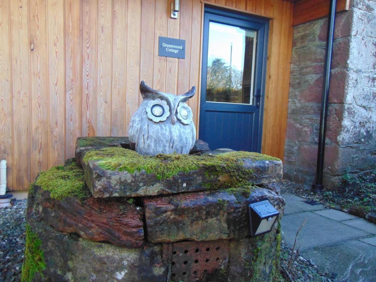 Dreamwood Cottage, Loch Lomond, Luxury Apartment. Glasgow Ngoại thất bức ảnh