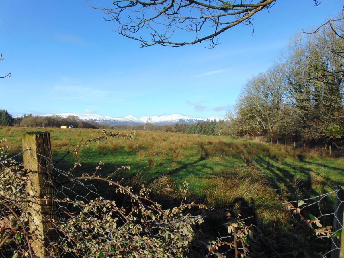 Dreamwood Cottage, Loch Lomond, Luxury Apartment. Glasgow Ngoại thất bức ảnh