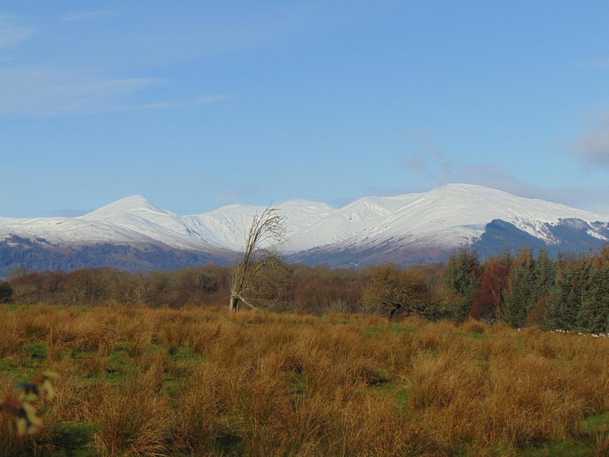 Dreamwood Cottage, Loch Lomond, Luxury Apartment. Glasgow Ngoại thất bức ảnh